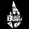 Купить Black Burn - Red Currant (Красная смородина) 200г
